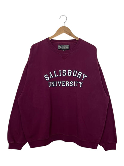 90's Salisbury University Vintage Sweatshirt Size XL